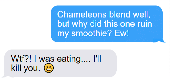Funny Chameleon Text